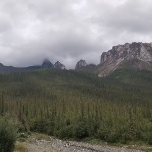 Meet your Posher, Kai